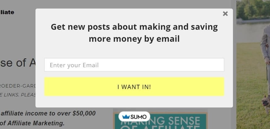 An email subscription form on Making Sense of Cents