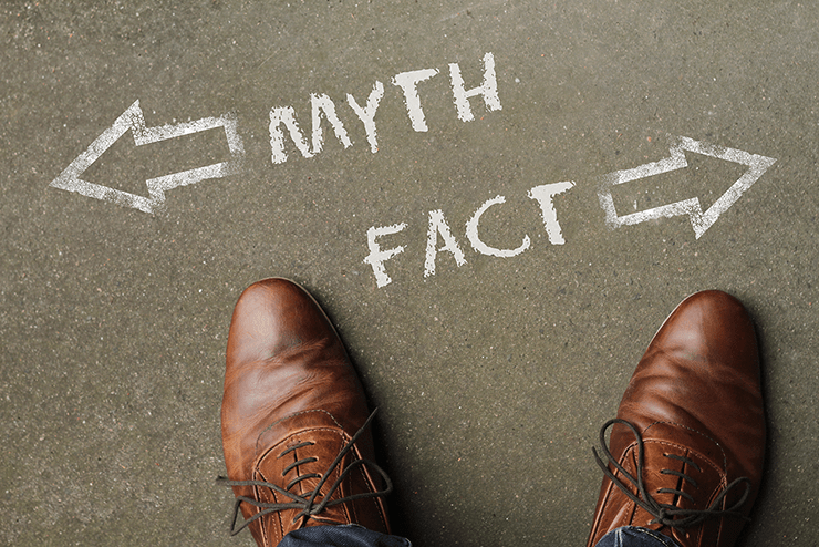 common wordpress myths
