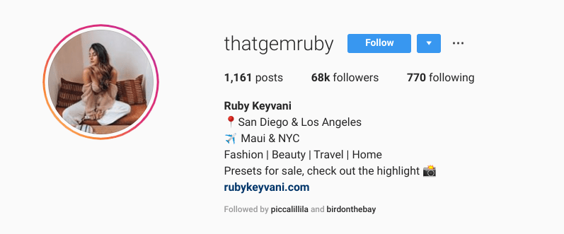 An Instagram influencer's bio with a website link.