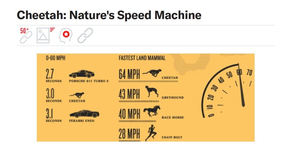 An infographic comparing the speeds of land mammals.