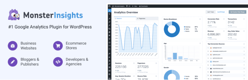 Das MonsterInsights-Plugin.