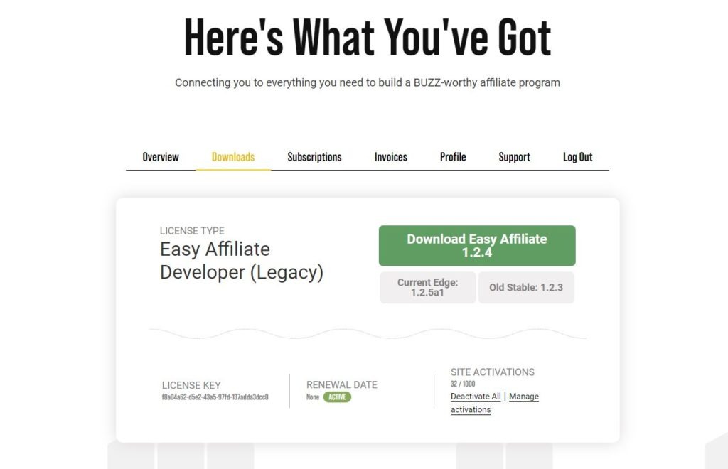 Downloading easy affiliate for an online course business